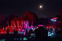 Festiwal Światła (fot. R. i M. Gucwa)