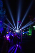 Festiwal Światła (fot. R. i M. Gucwa)