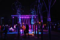 Festiwal Światła (fot. M. Pycka)