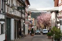 Hofheim,Fot.M.Pycka