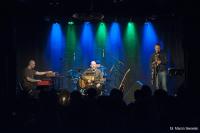 Koncert walentynkowy (fot. M. Siwowski)