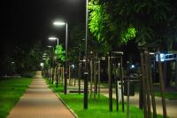 Ścieżka rowerowa w centrum miasta