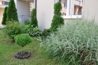Najpiękniejsza posesja, najpiękniejszy balkon Pruszcza Gdańskiego w 2014 r. (fot. M. Pycka)