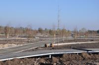 Budowa Parku Krainy Polodowcowej (fot. R. Gucwa)