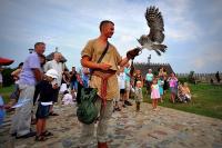 Falconry Show