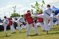 Taekwondo show