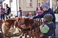 Obchody Światowego Dnia Świadomości Autyzmu w Pruszczu Gdańskim (fot. M. Pycka)