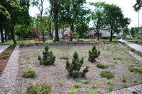 Park  "Z gruszą" 18.05.2018 (fot.M.Pycka)