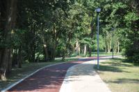 Budowa fragmentu ścieżki pieszo-rowerowej z modernizacją mostu pieszo-rowerowego od granicy z Gminą Pruszcz Gdański (fot R...