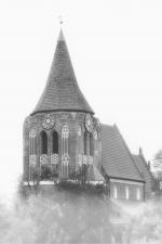 autor zdjęcia: Woś Sylwester