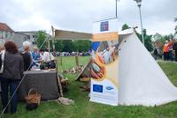 Festival Market w Silute