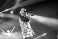 Dni Pruszcza 2019 fot.: Centrum Kultury i Sportu w Pruszczu Gdańskim
