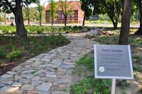 Park z Gruszą