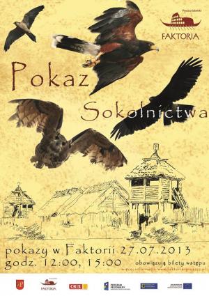 Pokaz sokolnictwa