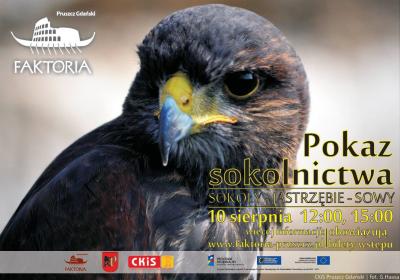 Pokaz sokolnictwa