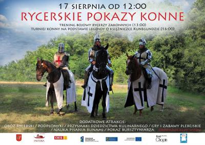 Rycerskie Pokazy Konne
