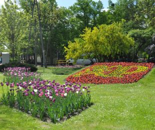 Konsultacje społeczne