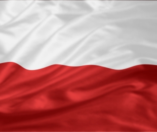 Święto Niepodległości w Pruszczu Gdańskim