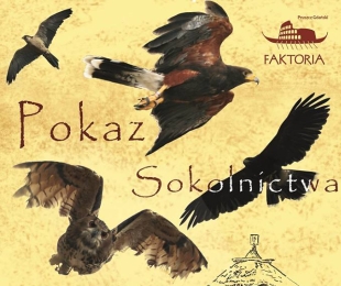 Zapraszamy na pokaz sokolnictwa!