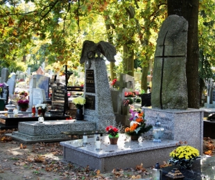 Zmiana organizacji ruchu w związku z Dniem Wszystkich Świętych