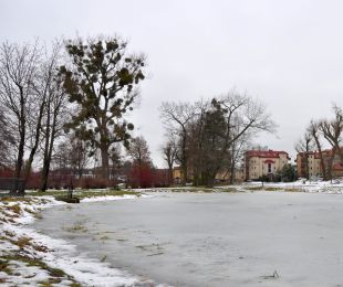 Uwaga, kruchy lód!