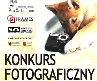 Konkurs fotograficzny "Pieskie Życie"