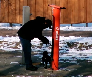 Kolejna skuteczna interwencja Straży Miejskiej