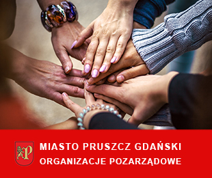 Informacja o przebiegu i wynikach konsultacji projektu programu współpracy Miasta Pruszcz Gdański z organizacjami pozarządowymi na rok 2020