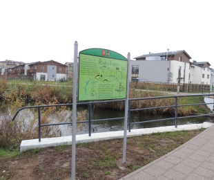 „Nasza rzeka Radunia” i „Poznajemy drzewa”