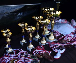 IV Pruszczański bieg Gotów