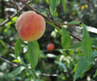 Miejskie konkursy w 2015 roku